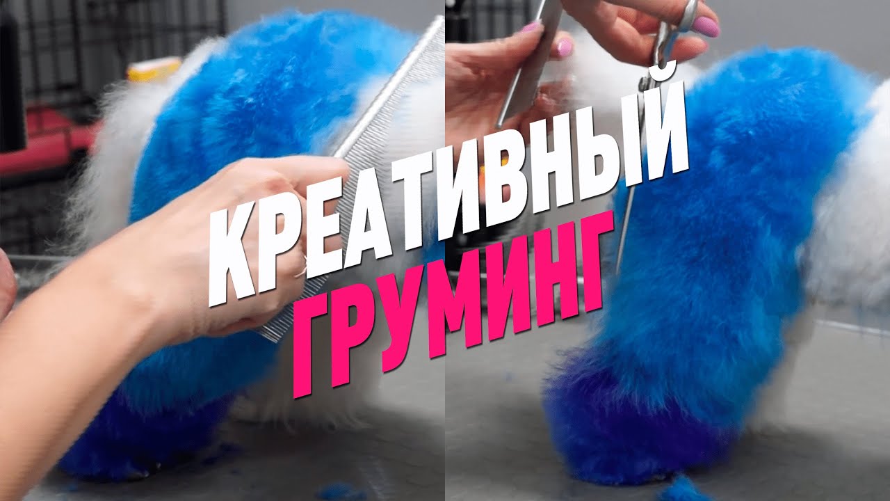 КРЕАТИВНЫЙ ГРУМИНГ / GROOM SCHOOL