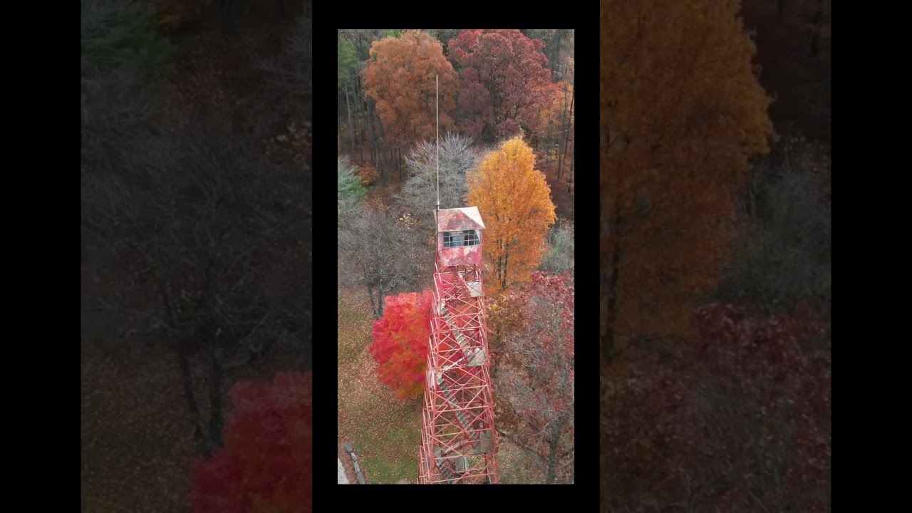 Fall flying