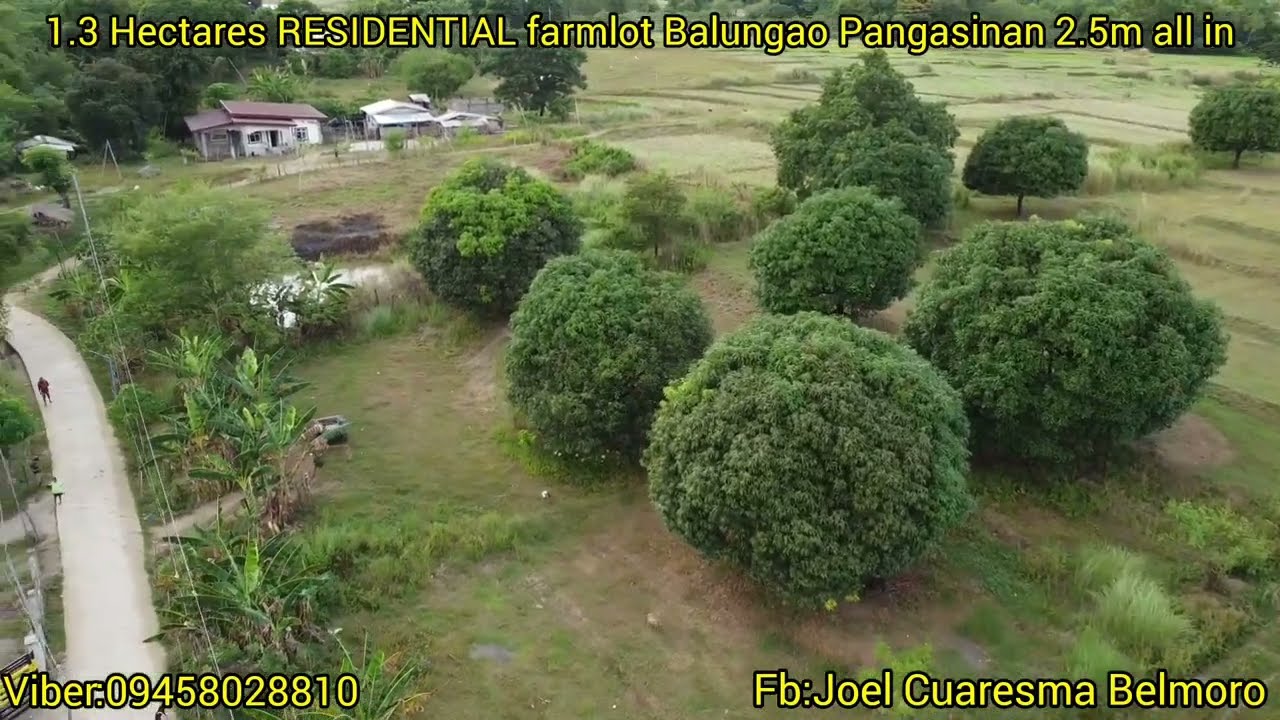 (SOLD)#vlog #417 1.3HAS BALUNGAO PANGASINAN RESIDENTIAL FARMLOT 2.5M