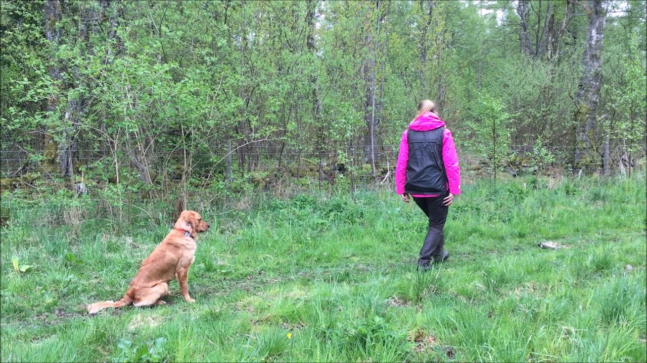 Delivery to hand step by step - Seeker