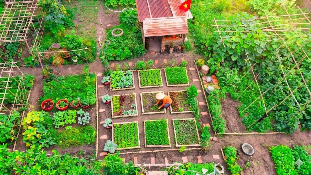 Peaceful Days of Growing, Harvesting and Cooking