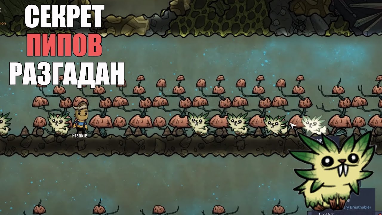 Гайд. Пипы: все, что нужно знать о высадке растений. Oxygen not included