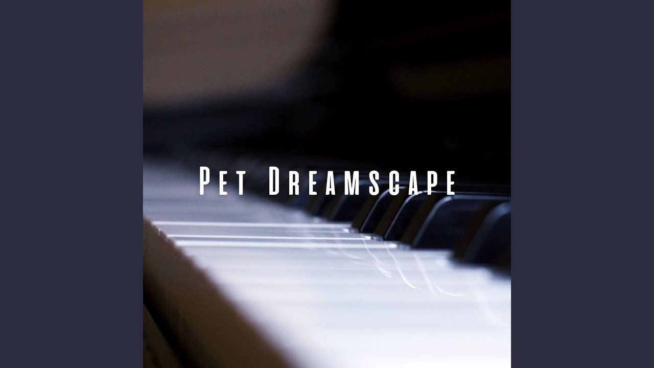 Peaceful Paws Piano Piece