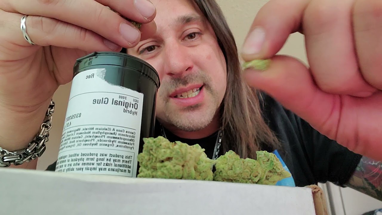 Dan's 420 Chronicles - Original Glue / Weed Review 3/26/21