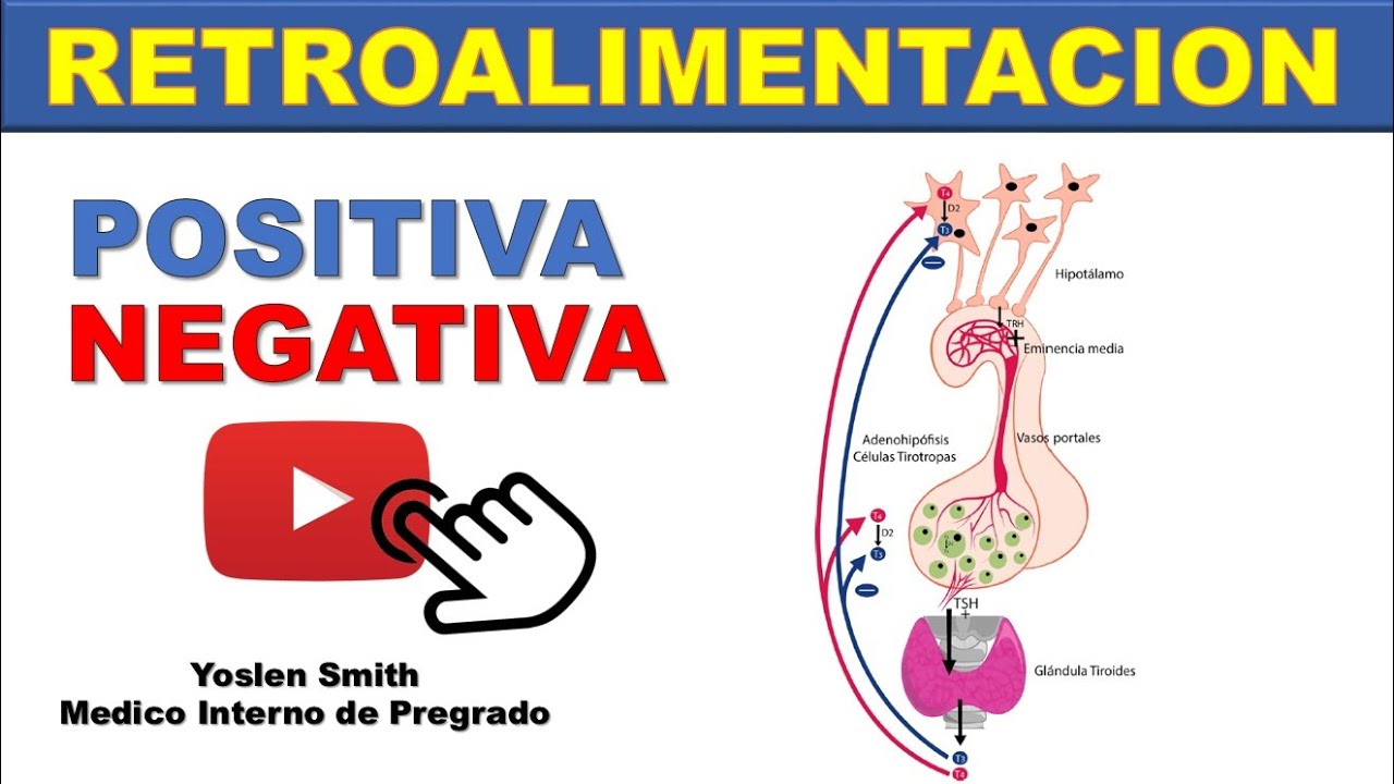 RETROALIMENTACI&Oacute;N POSITIVA Y NEGATIVA! &iexcl;F&Aacute;CIL Y SENCILLO!
