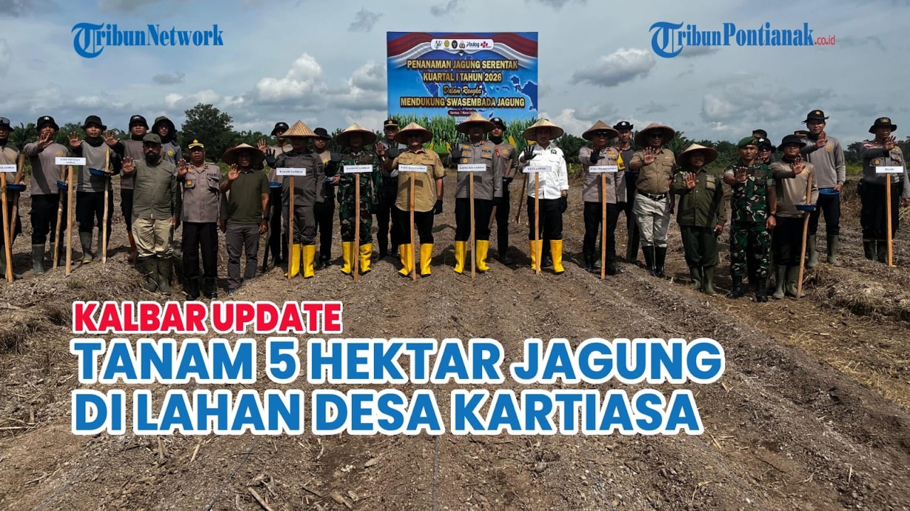 WABUP HEROALDI TANAM PERDANA JAGUNG DI KARTIASA, SEBUT PEMKAB DUKUNG SWASEMBADA PANGAN