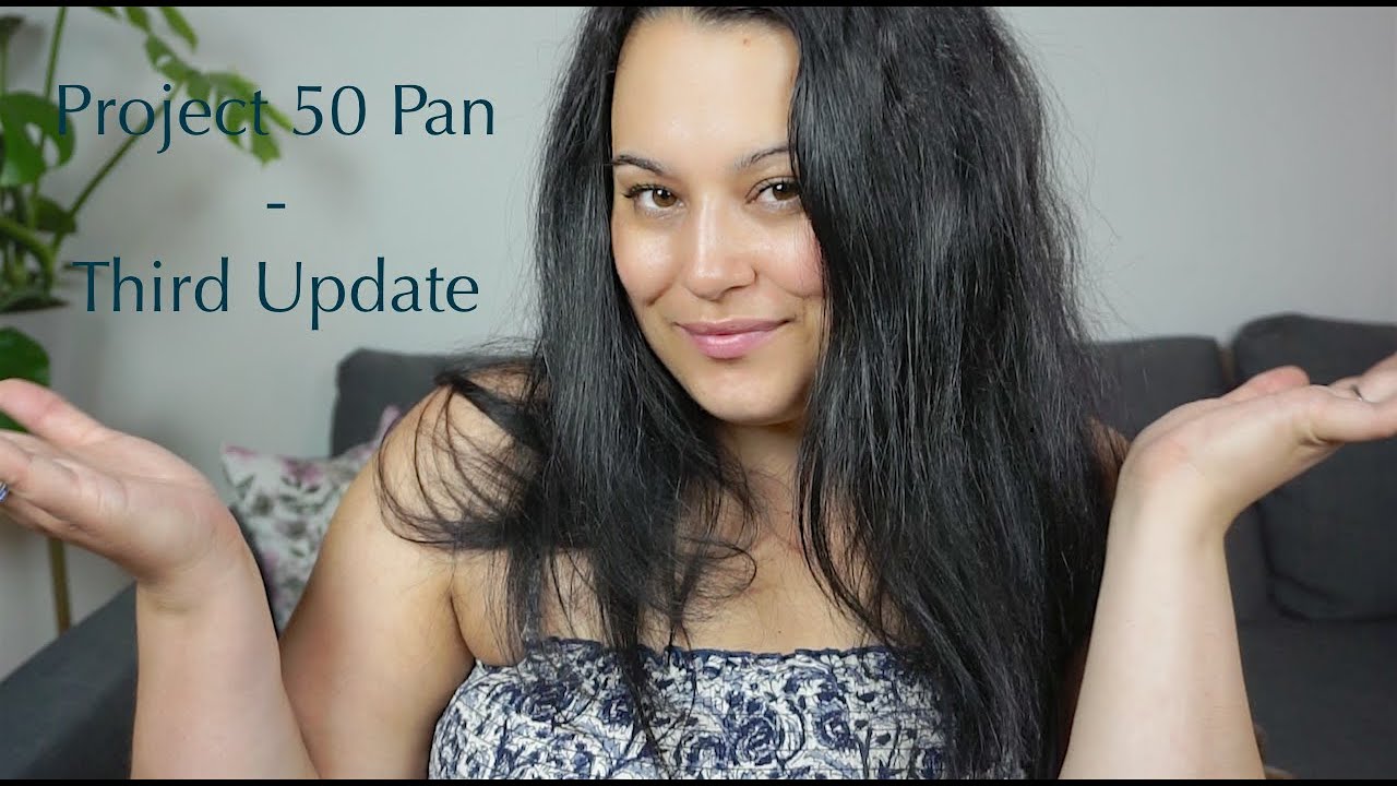 Project 50 Pan 2019 - Update #3