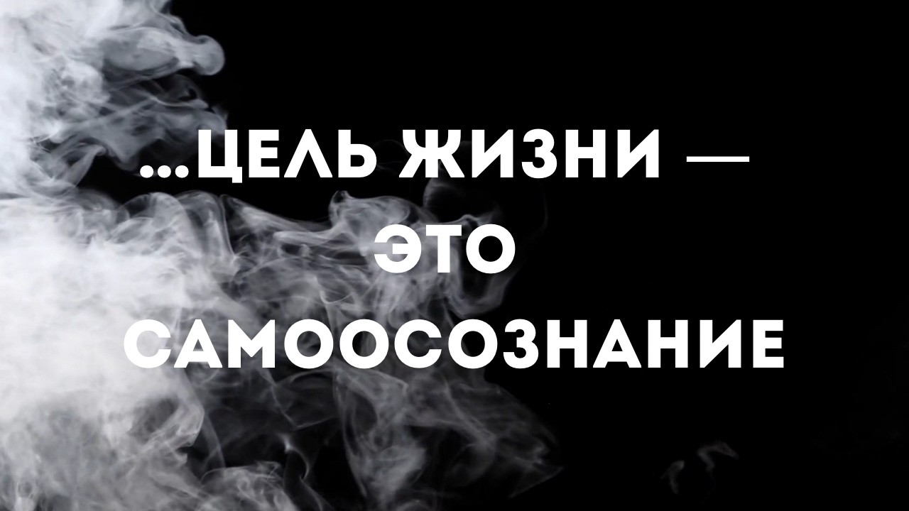 Эволюция — это развитие сознания, а не формы