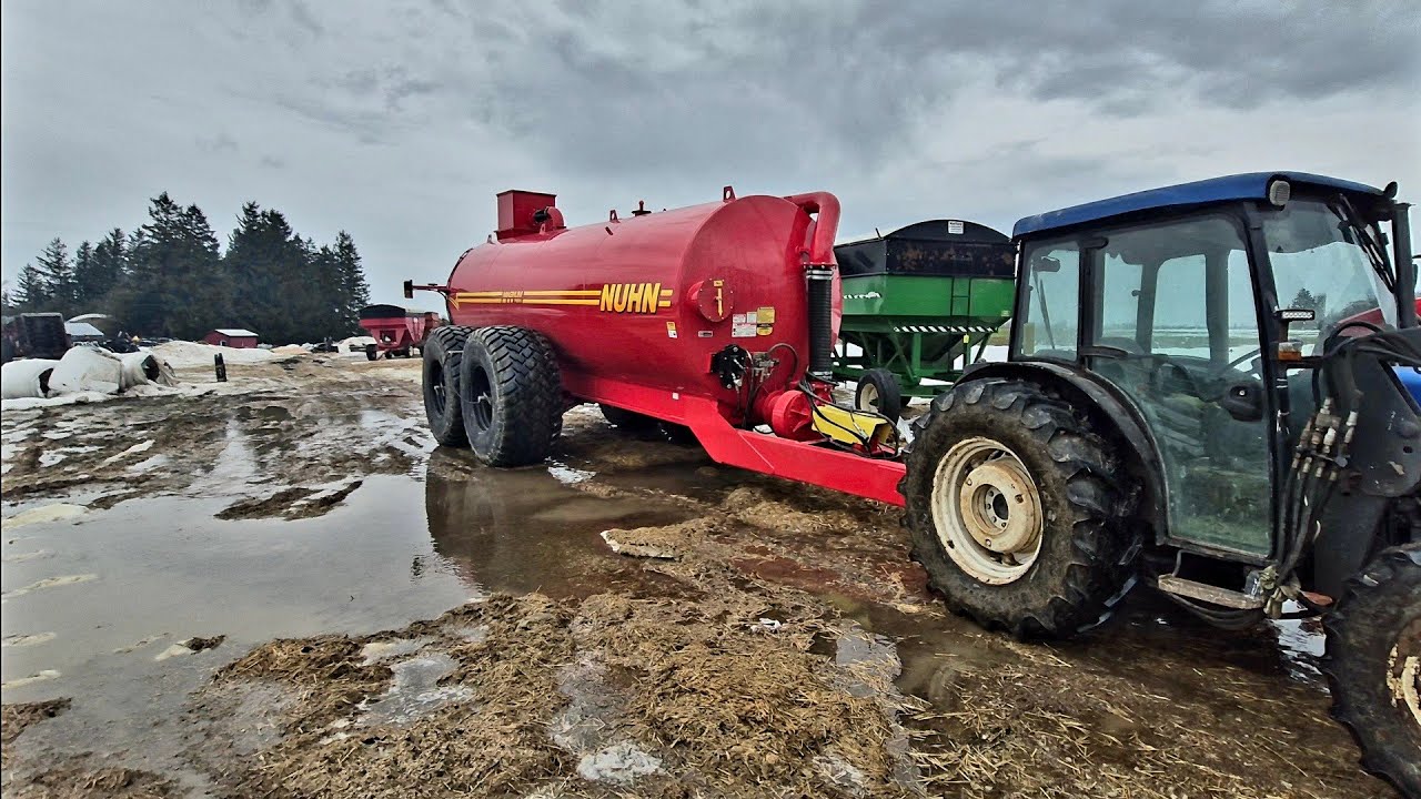Milking Cows In Our Newly Rebuilt 91 Cow Tie Stall Dairy Barn | Spring Cleanup And Hauling Manure