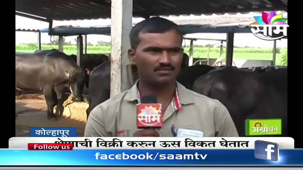 Sucess story of Dhananjay khemlapurkar