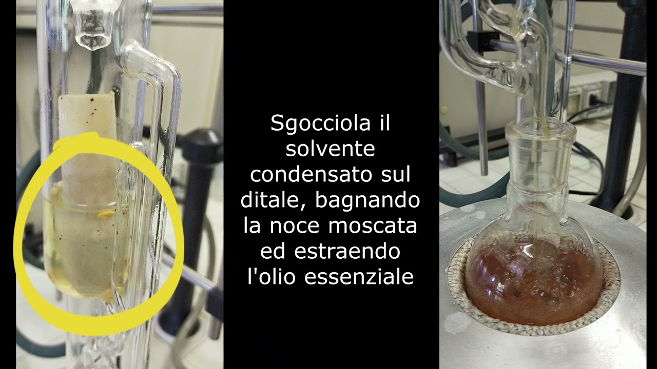 Estrazione Trimiristina dalla noce moscata