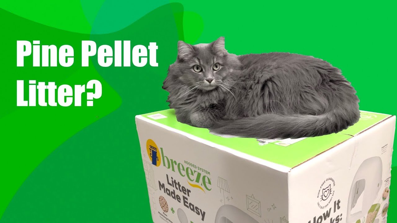 Pellet Style Litter Box, 18 Months Later