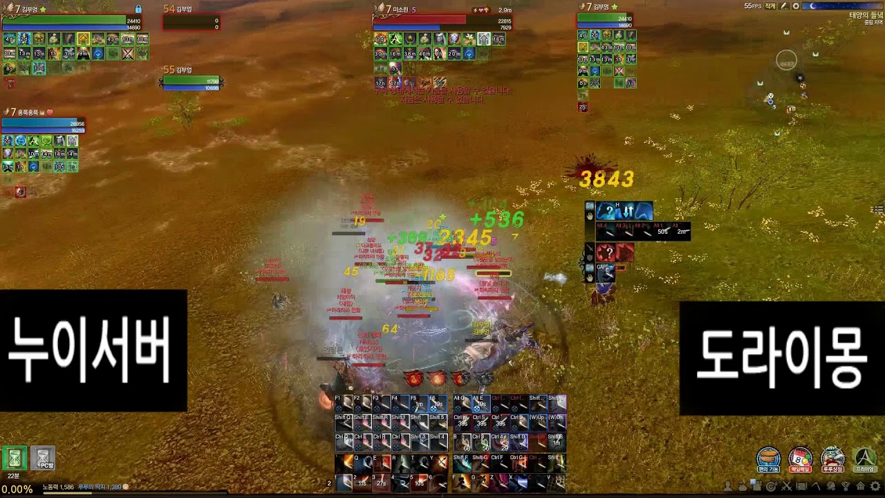 Archeage 4.5 Executioner pvp 아키에이지 광전사 (김부엉) /필드쟁