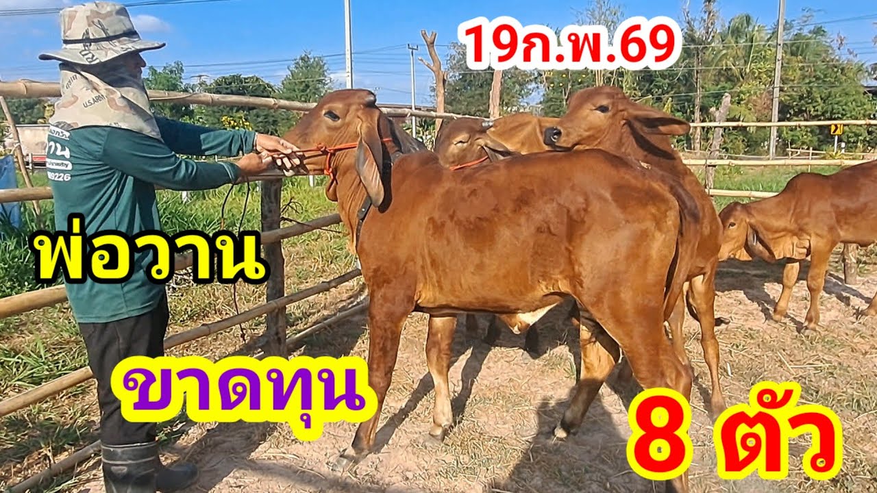 พ่อวาน 064-198-9226 บ.หนองแสง อ.ปทุมราชวงศา จ.อำนาจเจริญ/19ก.พ.69