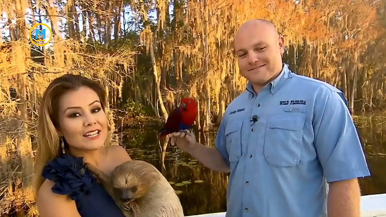 Highlights from Melissa's trip to Orlando | Your Morning
