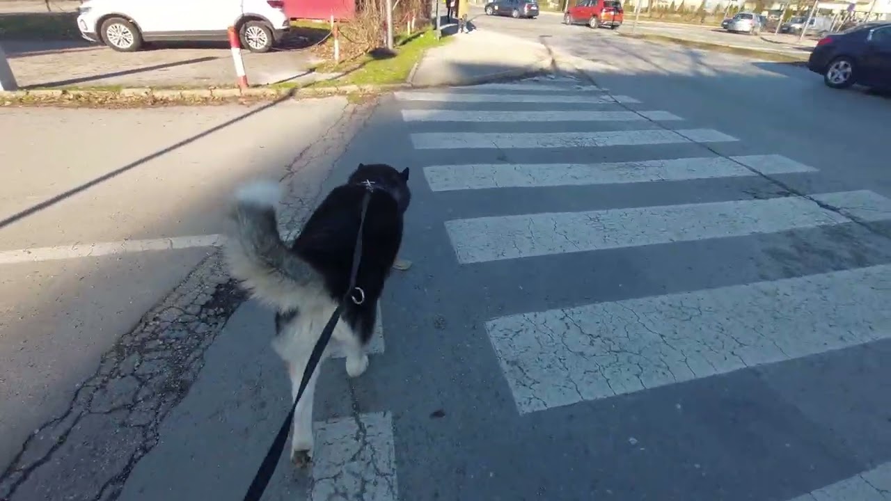 Finally a nice sunny walk