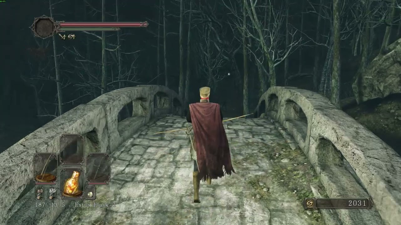 DARK SOULS II The Immortal 5