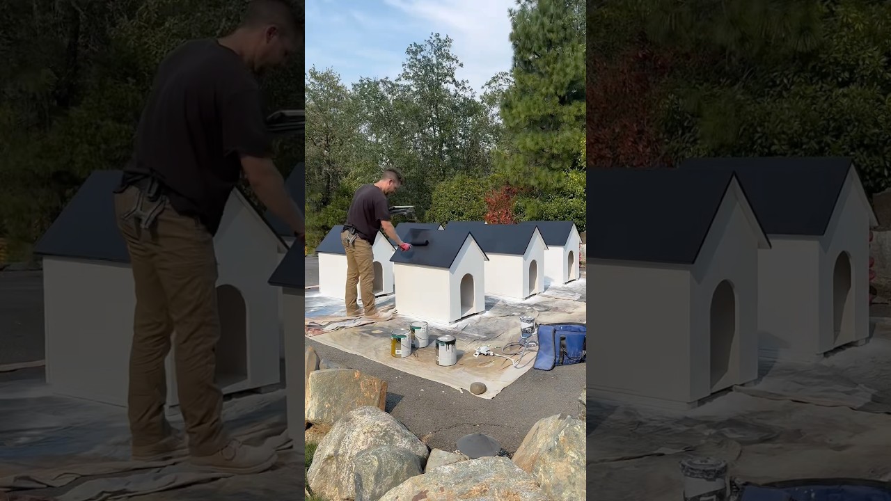 No I don&rsquo;t have 6 dogs&hellip; 😂 #diy #doghouse #build