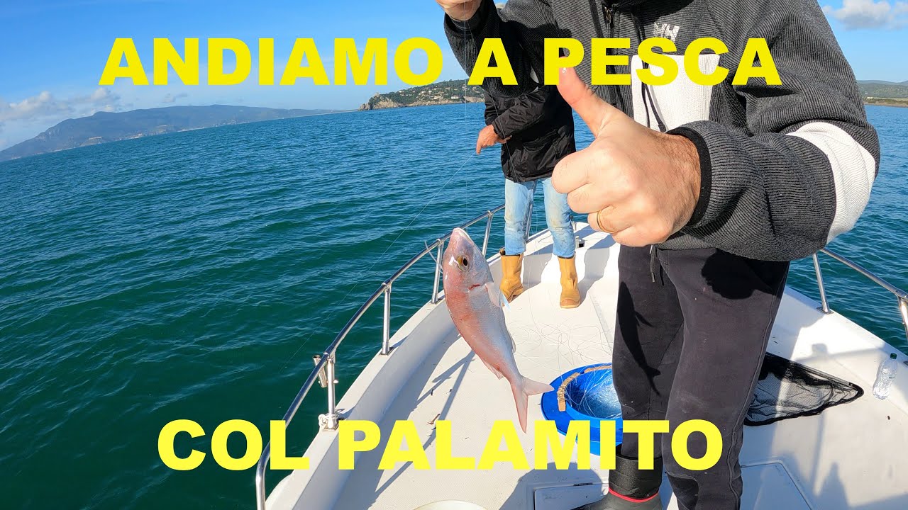 ANDIAMO A PESCA col PALAMITO ma siamo dei PRINCIPIANTI