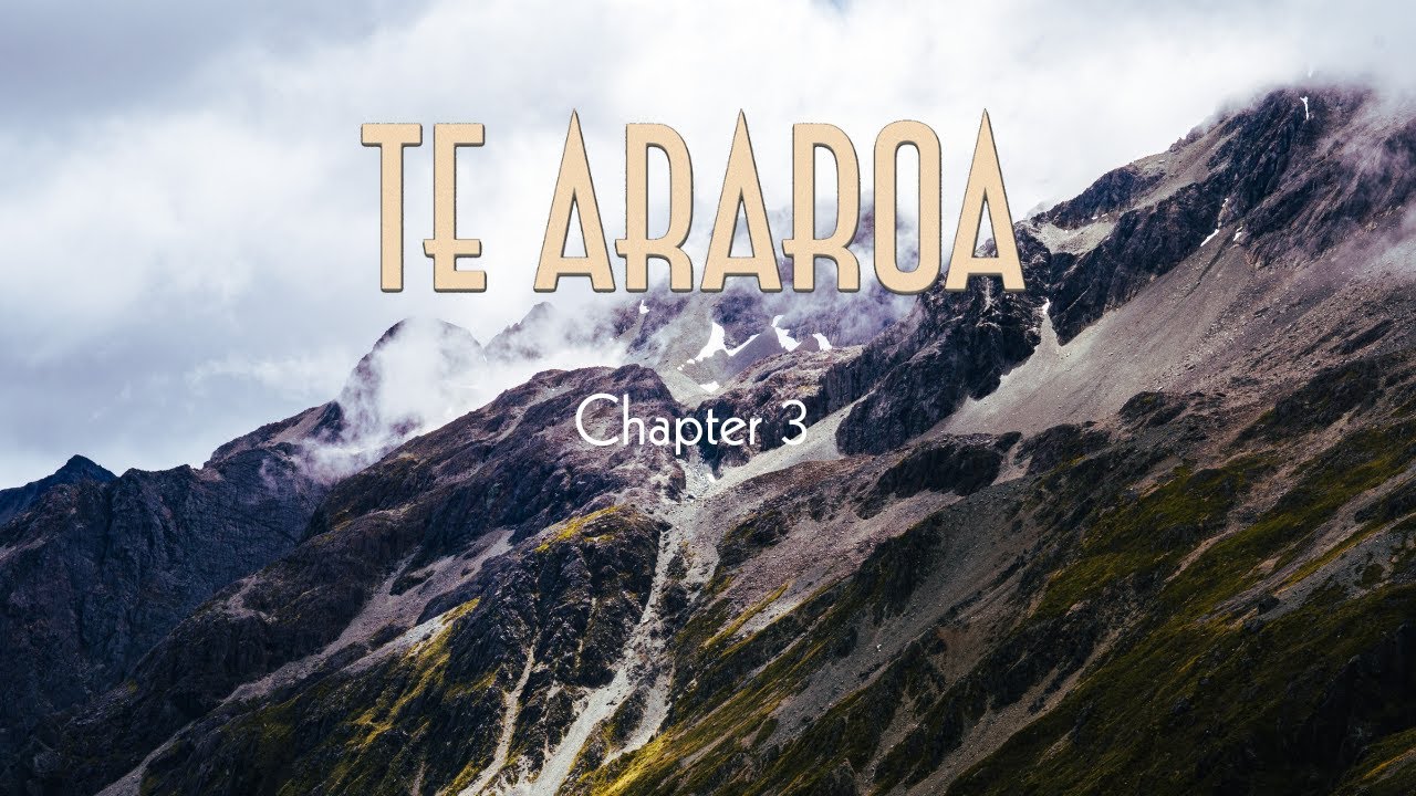 Te Araroa | Weather Warnings and Solo Walking | Chapter 3