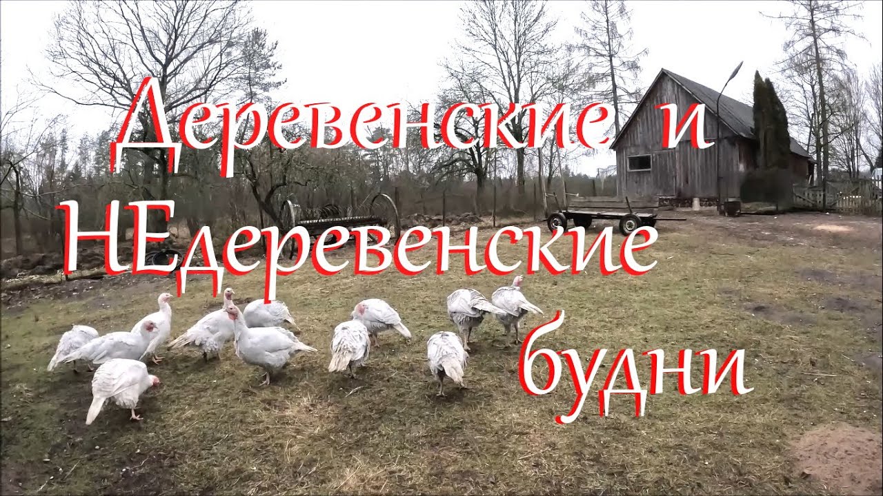 Хватит лениться! Жизнь на Лесном Хуторе.