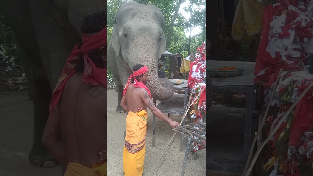 කැබිලිත්ත පින් බිම