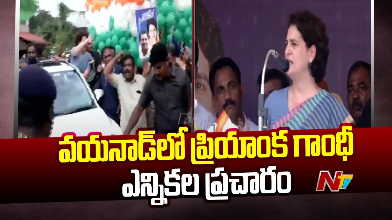 Piyanka Gandhi Election Campaign in Wayanad l NTV