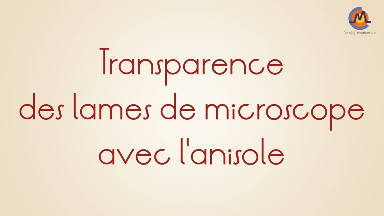 9. Transparence des lames de microscope à l'anisole