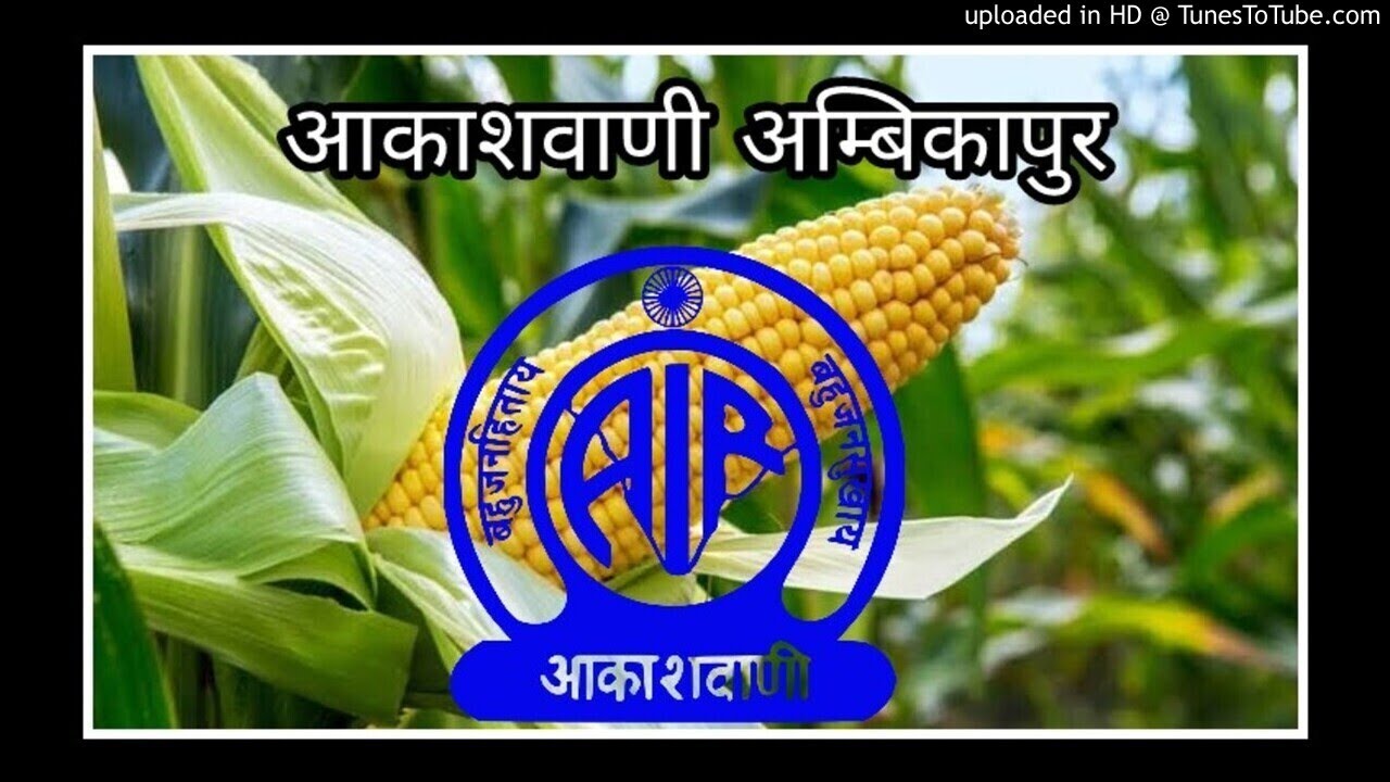 Hello Kisanwani Broacasted By AIR Ambikapur By Vinitesh nad Anangpal