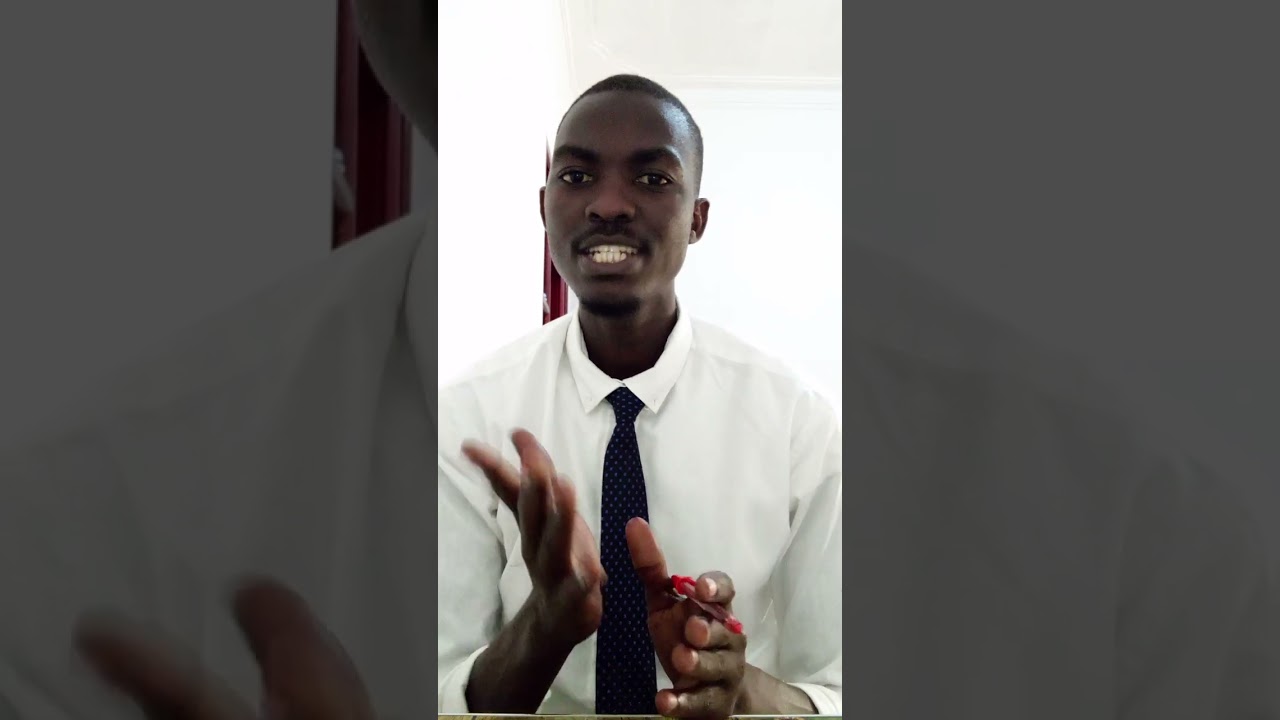 ministerial responsibility and executive in Uganda ( constitutional law )