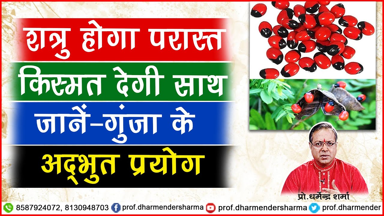 शत्रु होगा परास्त  किस्मत देगी साथ जानें-गुंजा के अद्भुत प्रयोग | Prof. Dharmendra Sharma