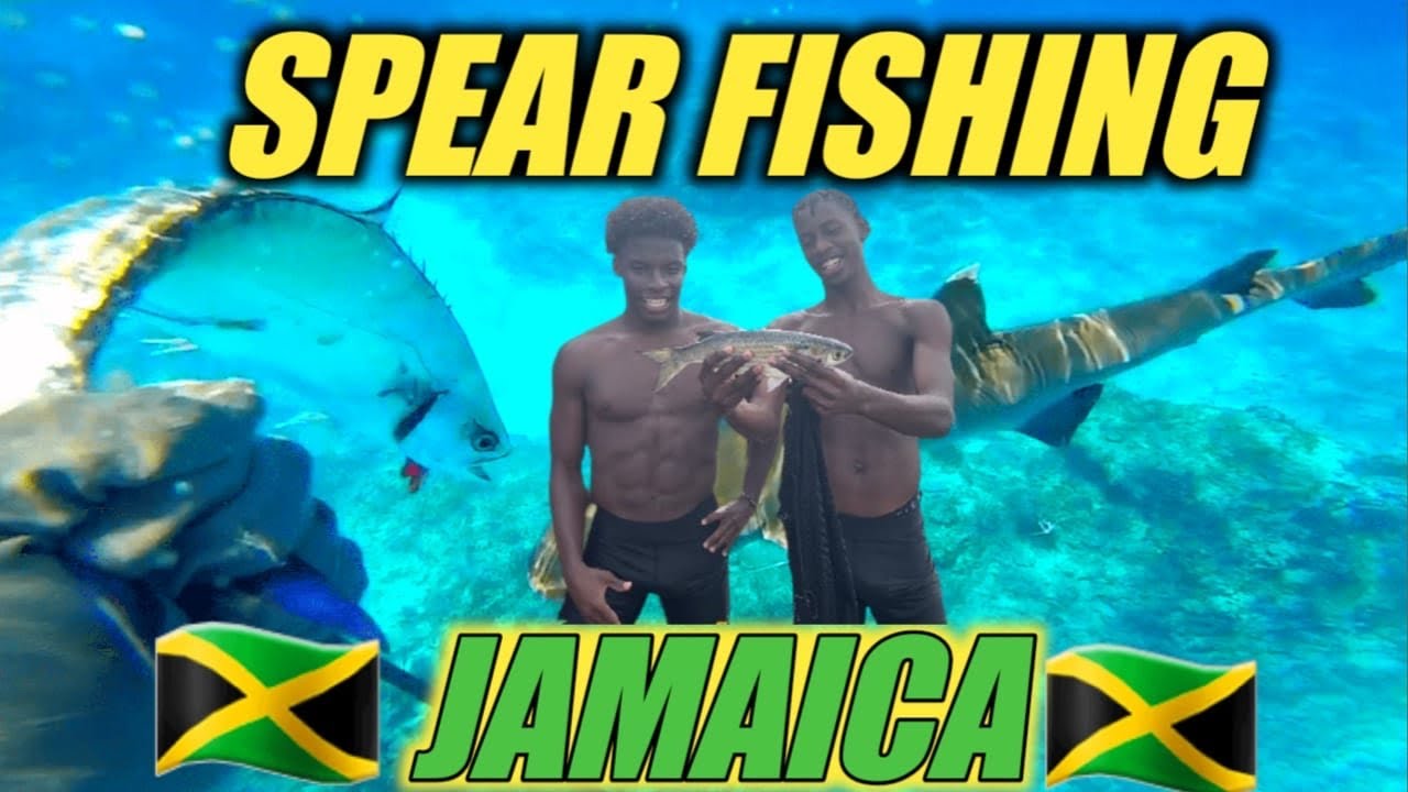 Spear Fishing Catch And Clean In The Caribbean Sea🌊‼️*epic*