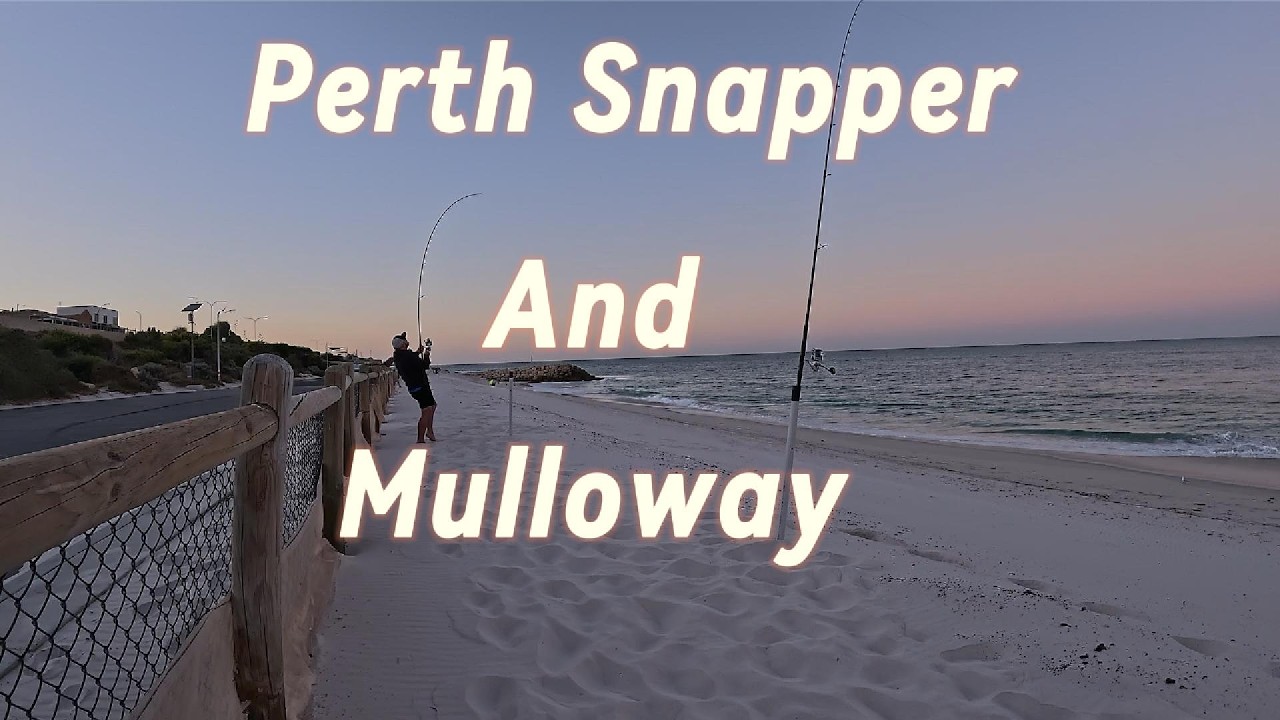 Can we catch a Perth snapper or mulloway?!
