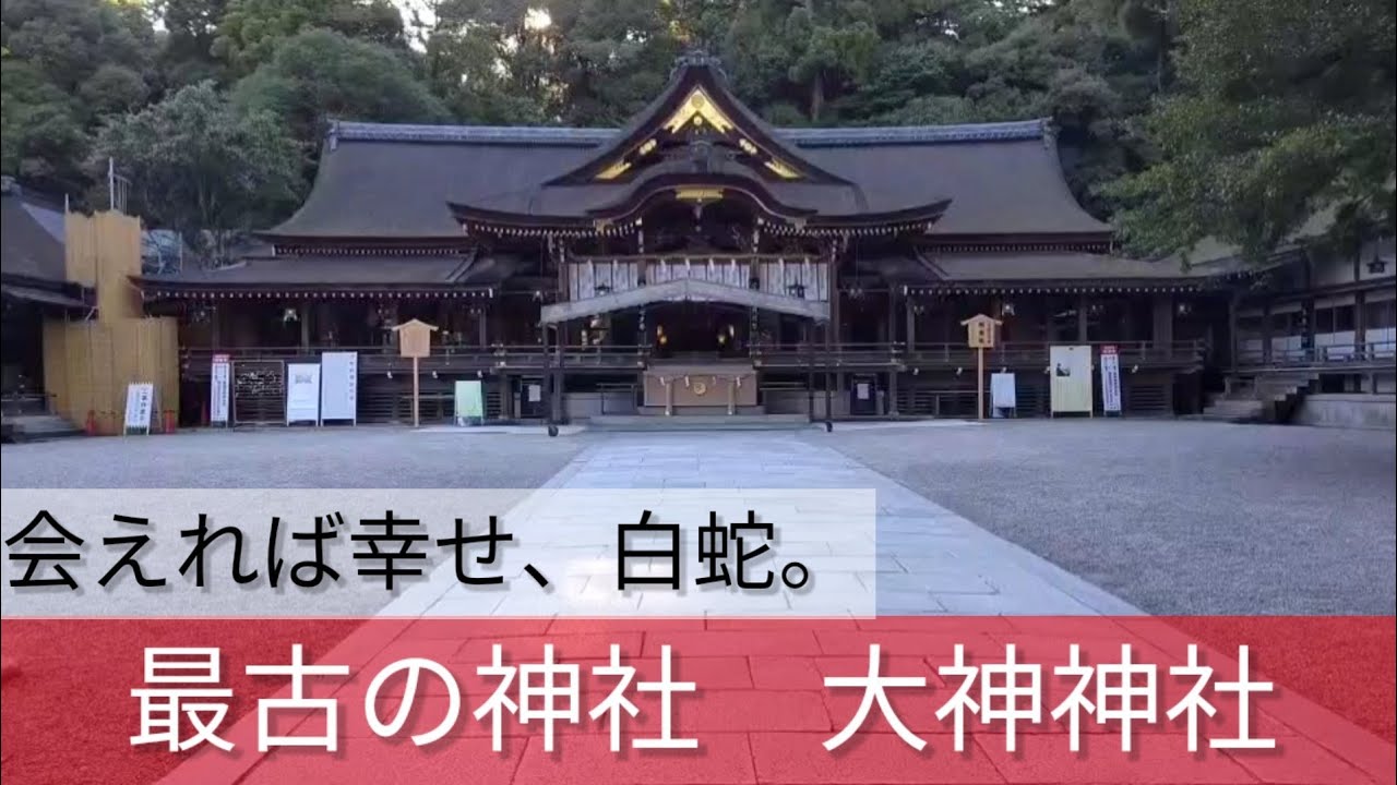 奈良県【大神神社】幸せになりたかったら絶対に玉子は持って行こう!!白蛇様に幸せにさせてもらえる方法！最古の神社‥山が御神体。【三輪明神、三輪山】会えれば幸せの、白蛇が本当に住んでいる。