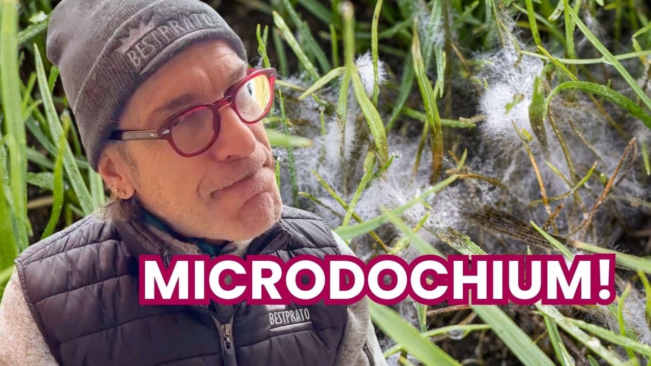 COME PROTEGGERE IL TUO PRATO DALLA MALATTIA PIÙ PERICOLOSA DELL'INVERNO?