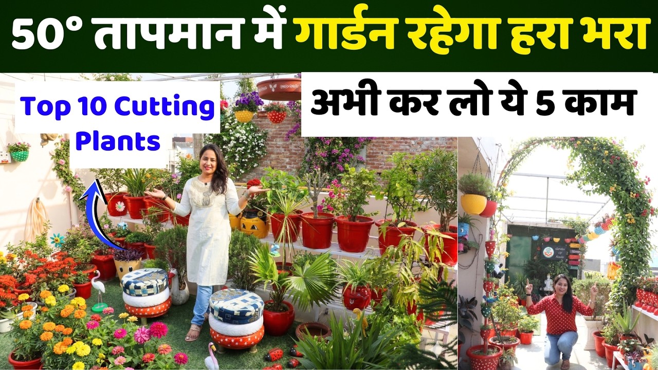 50° तापमान में भी गार्डन रहेगा हरा भरा 😱 अभी कर लो ये 5 काम, Summer Gardening
