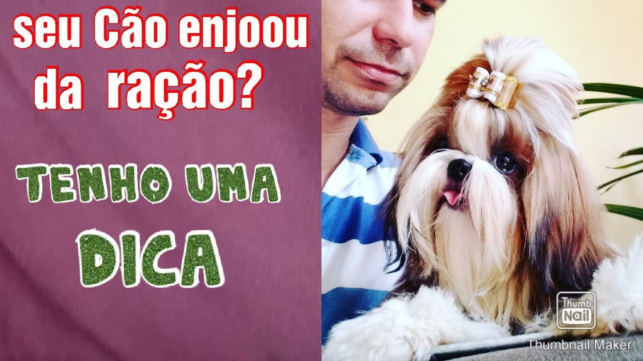 SEU CACHORRO ENJOOU DA RAÇÃO?