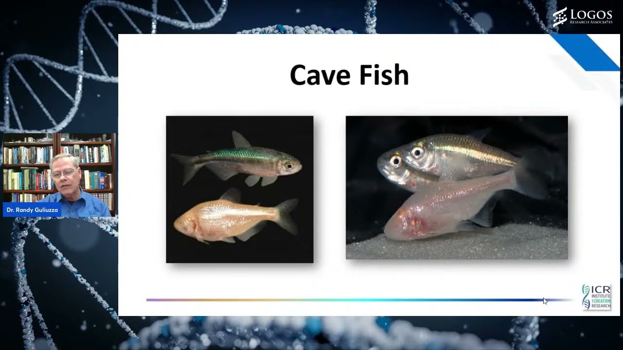 A Theory of Biological Design: Bringing an Overdue Revolution to Biology