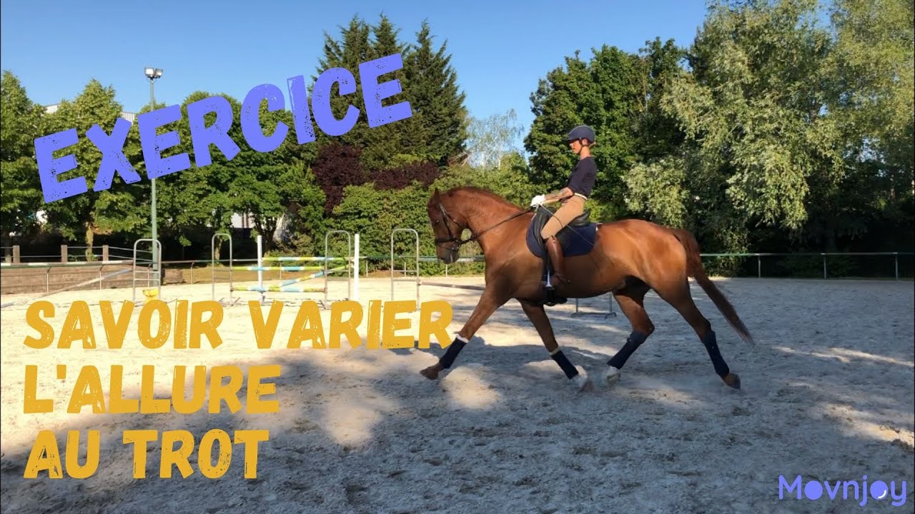 Exercice de dressage 👉  La variation de l'allure au trot