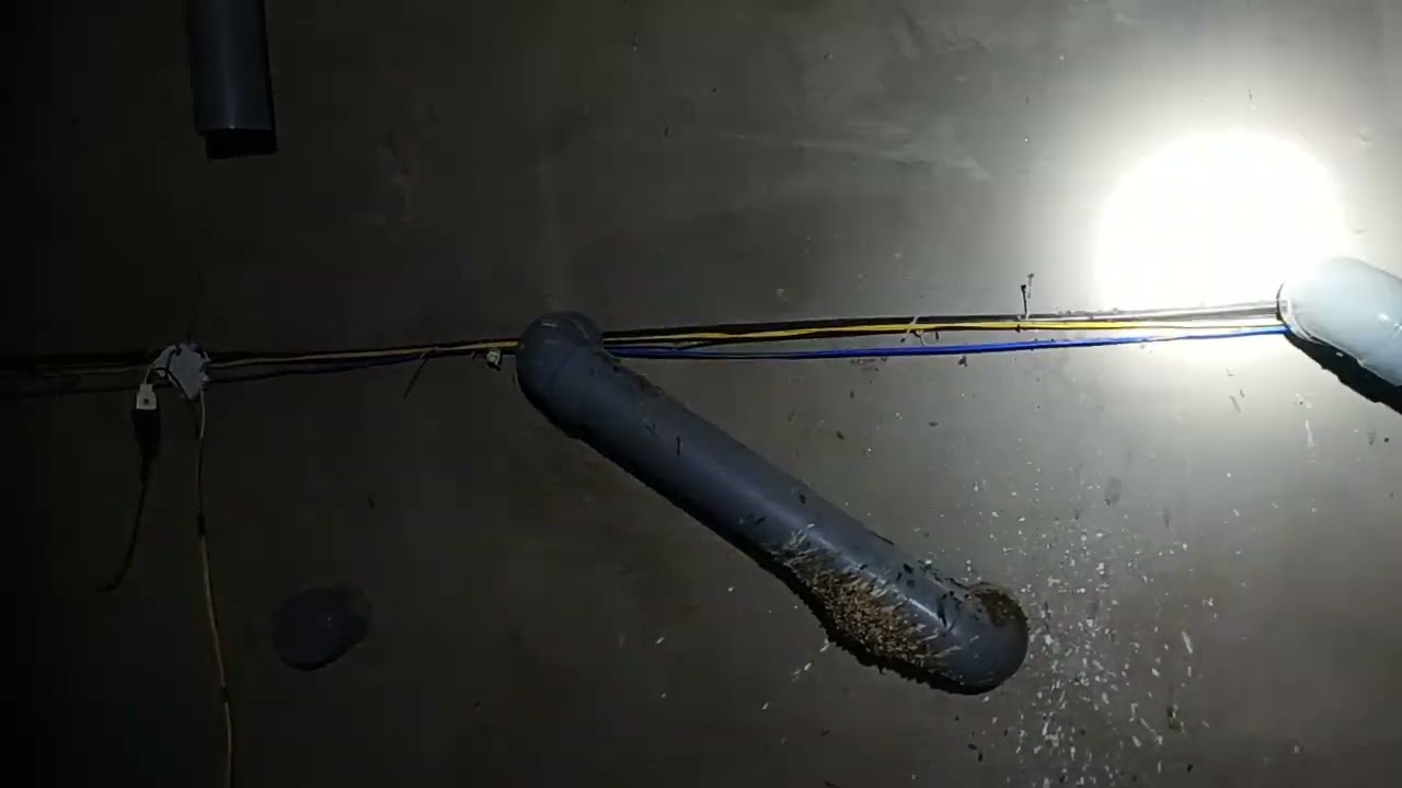 chia sẻ về thông gió nhà yến đạt hiệu quả tốt