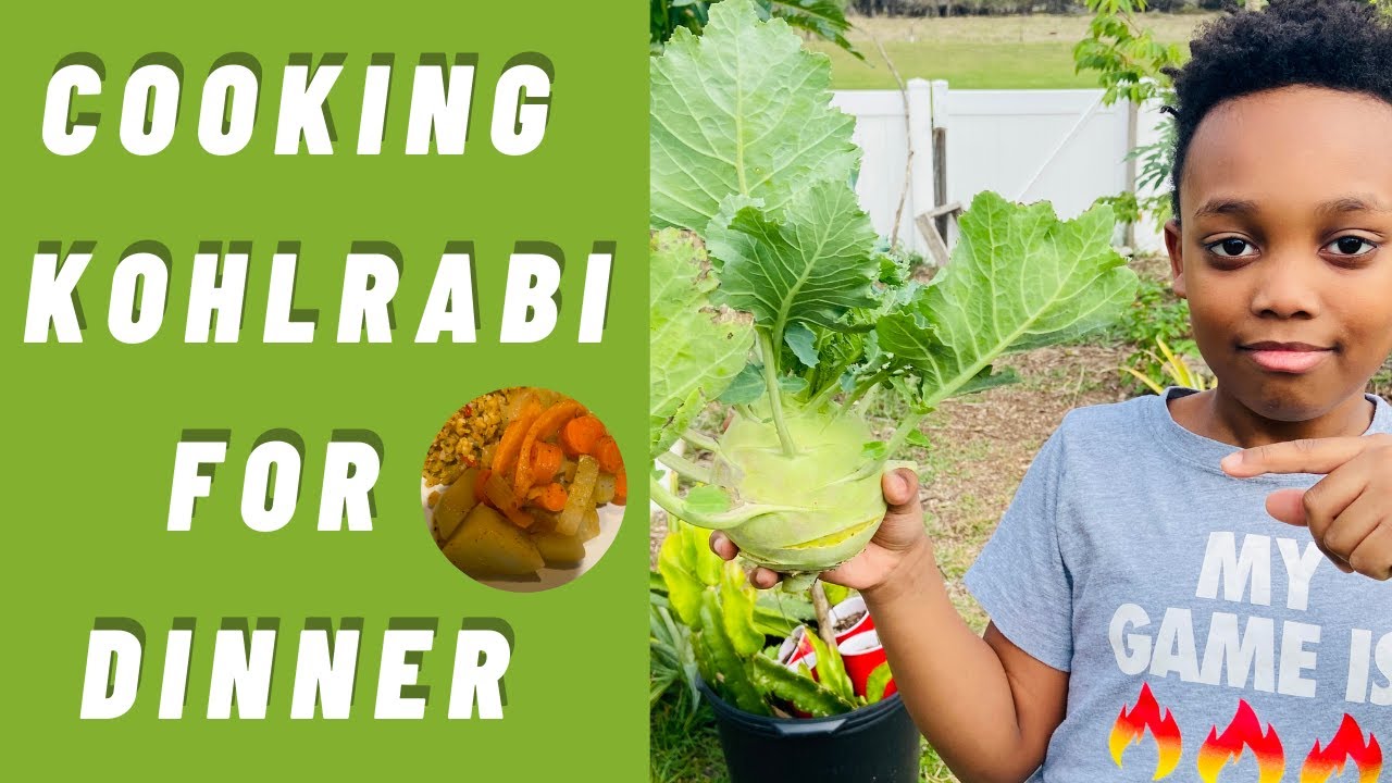 Cooking Kohlrabi For Dinner | Dan Permaculture Food Forest