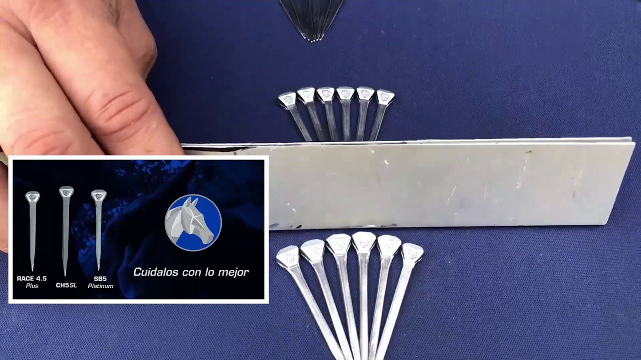 Clínica MUSTAD - Descubre la herradura correcta para el caballo