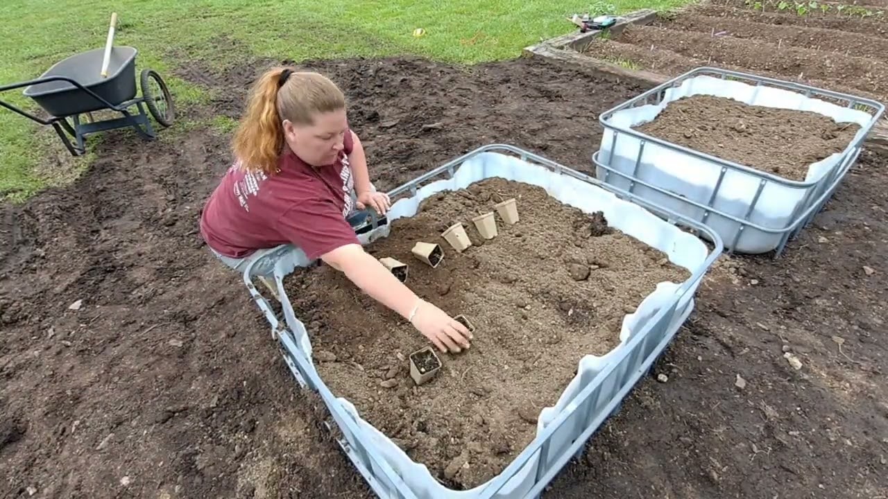 Raised Garden Beds From IBC Totes