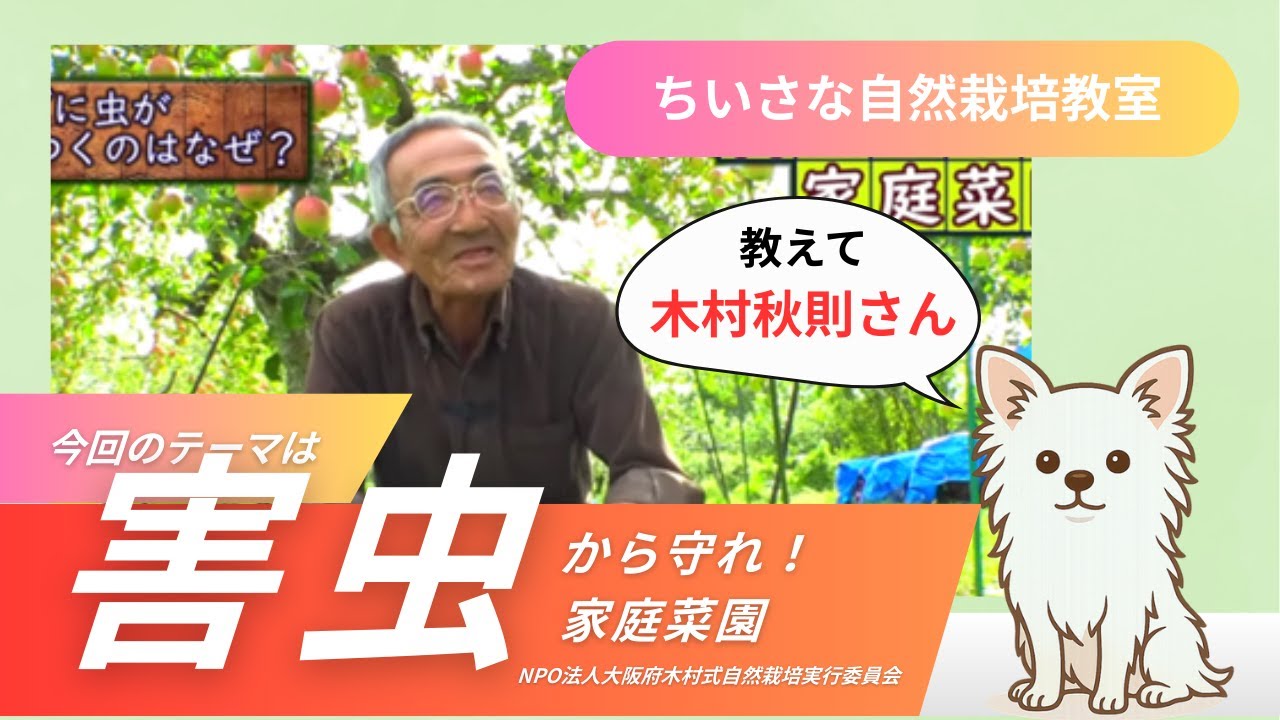【自然栽培】害虫から家庭菜園を守れ【木村秋則さん】