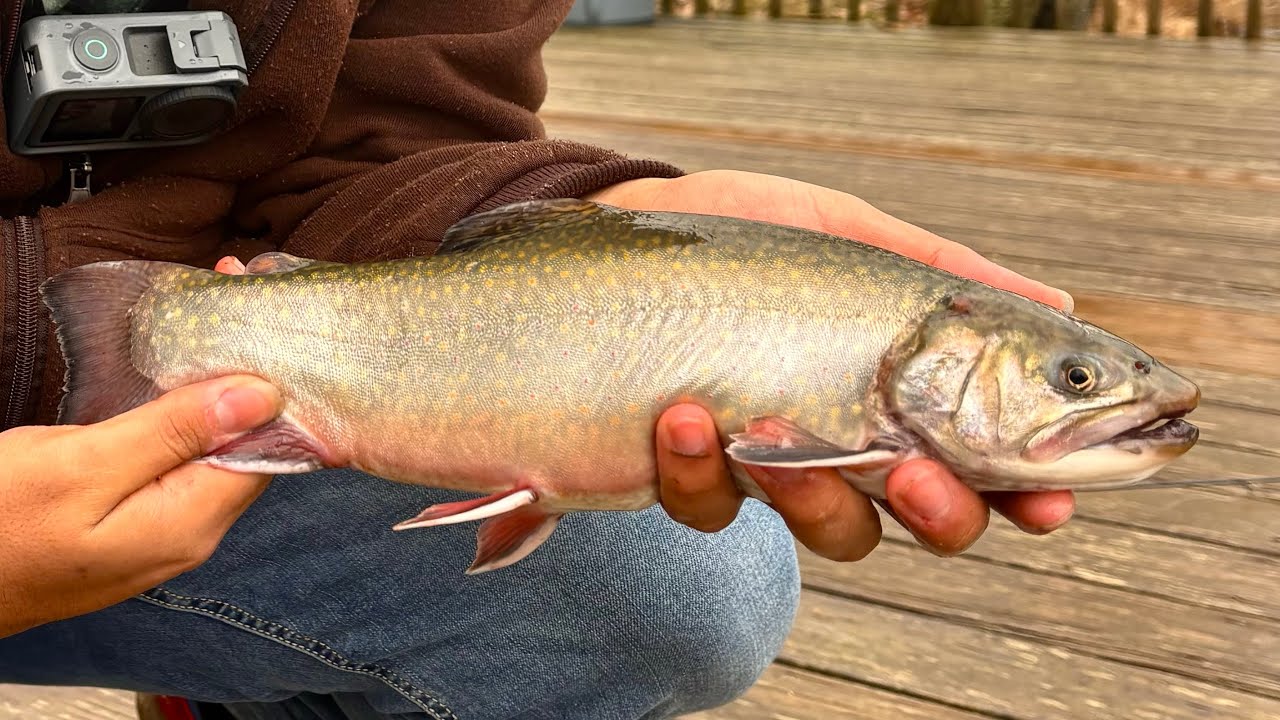 Primer video del canal | ¡En busca de Truchas en el lago bajo la lluvia! 🤙🏽🎣