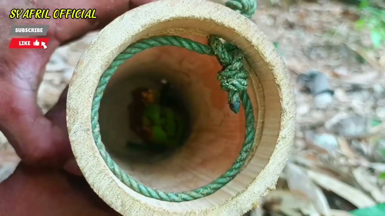 MEMBUAT JEBAKAN MONYET DARI BAMBU PALING JITU