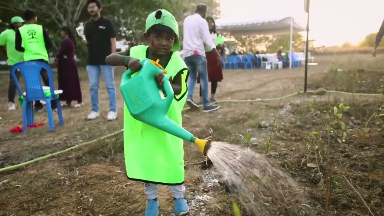 HP Tree plantation 