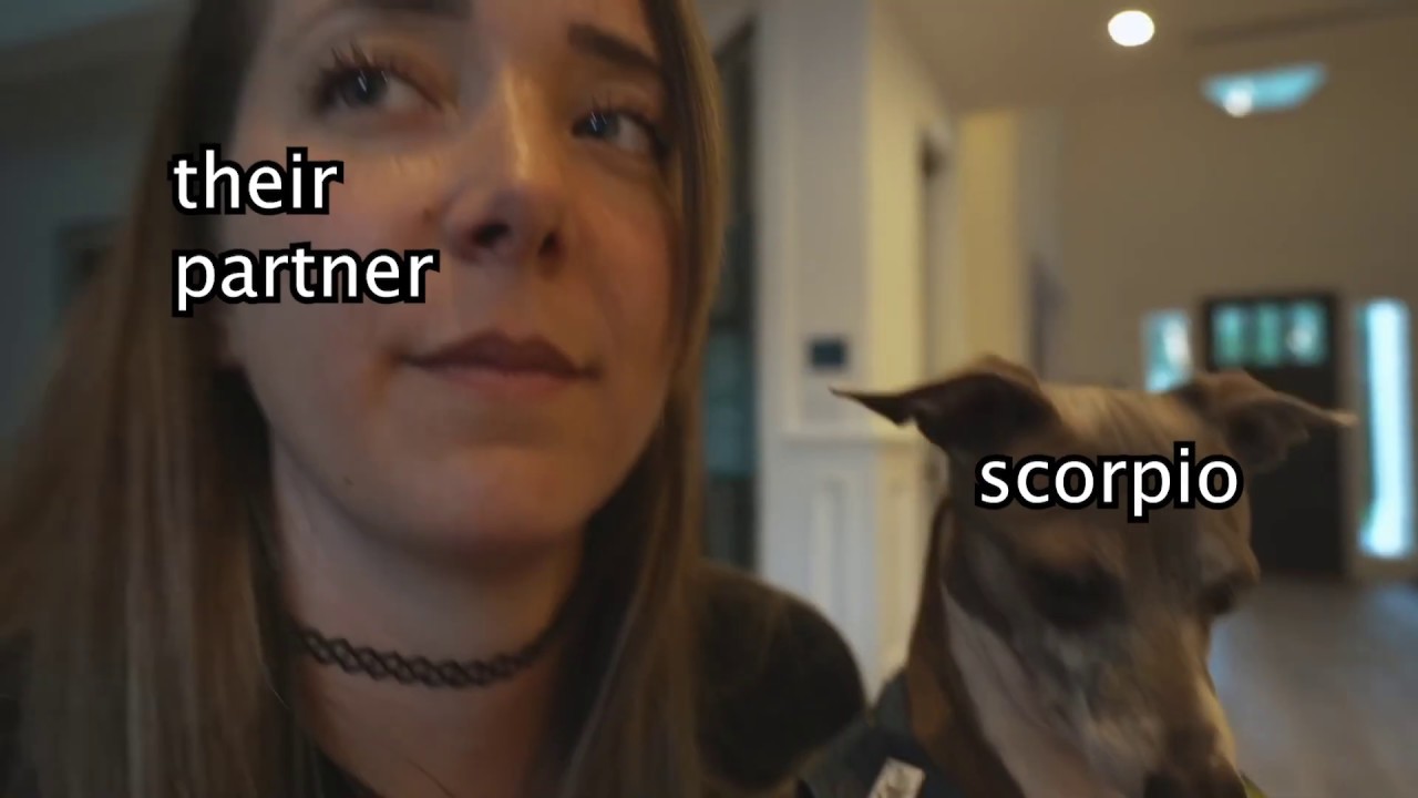 Jenna Marbles' Dogs as Zodiac Signs