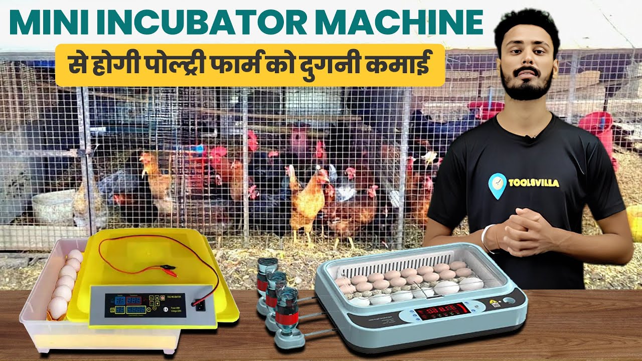Automatic Egg Incubator Machine | Incubator Machine | Egg Hatching | Automatic Incubator