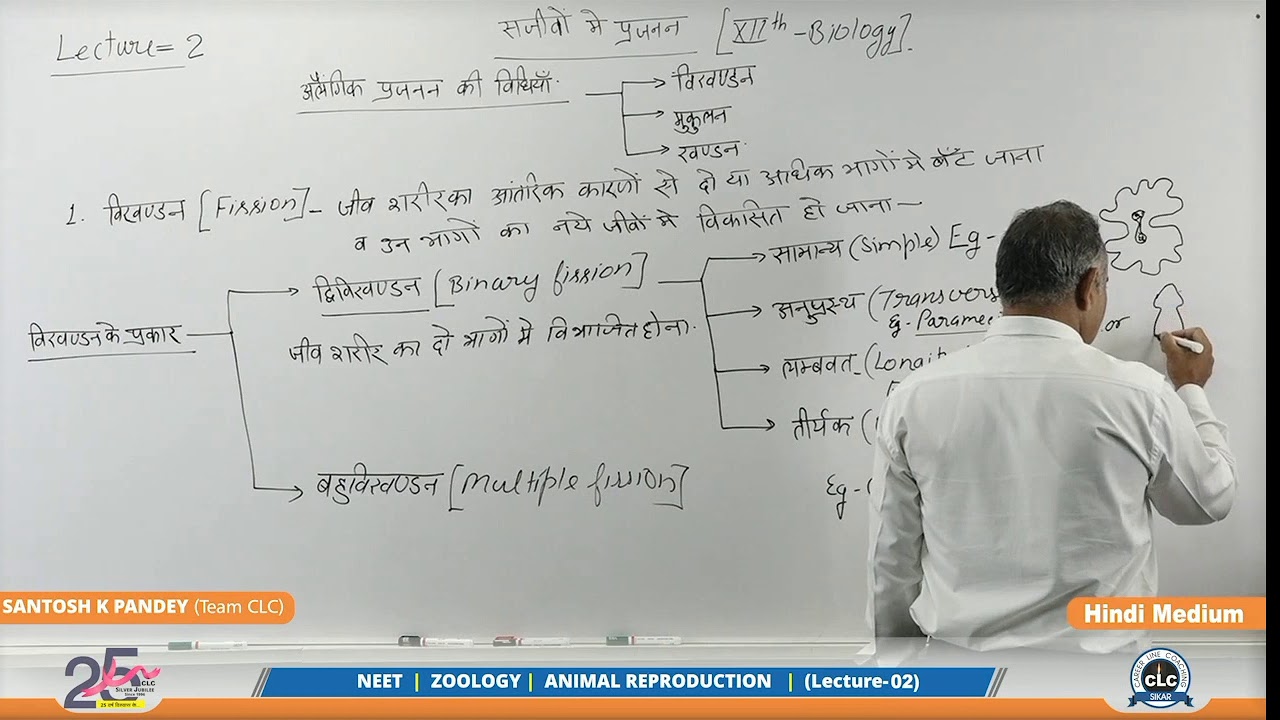 CLC online classes for neet